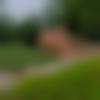 woman seeking men Kalyandurg near me photo - Radha