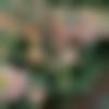 woman seeking men Hailakandi near me photo - Vasudha