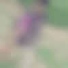 Single Male - Solanki