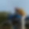 Male Photo - Rishi