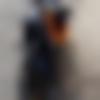 Baruipur Male, photo - Nox