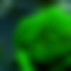 Mandawa Male Photo - Shankar