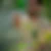 Male Photo - Raghavendra