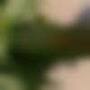 Kartarpur Male Photo - Vinay6363