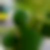 Male Photo - Vikash