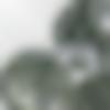 Gondal Male Photo - Prakash