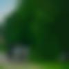 woman seeking men Nakodar near me photo - Rimpy