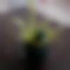 woman seeking men Dharapuram near me photo - Poojitha