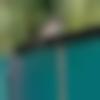 Single Male - Purbasahil