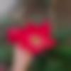 woman seeking men Bolpur near me photo - Afreen