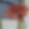 woman seeking men Bansi near me photo - Shivani