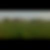 woman seeking men Sitamarhi near me photo - Rushigood