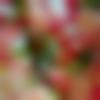 woman seeking men Attingal near me photo - ????
