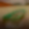 Single Female - Rita
