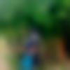 Single Female - Sumedha