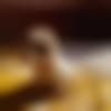 Male Photo - Soumo