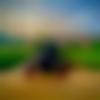Balangir Male, photo - Dinesh