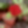 woman seeking men Ghatkesar near me photo - Sana