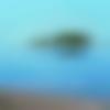 Single Male - Asgar
