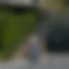 Single Male - Adnan