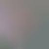 woman seeking men Siwan near me photo - Anjukiran