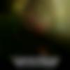 Single Male - Saaho