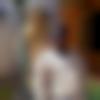 Single Male - Jeswanth