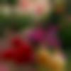 Female Photo - Jaswinder