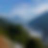 Male Photo - Sheikh