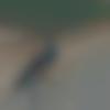 Female Photo - Yerrapujitha