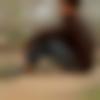 Hisar Male Photo - Sandeep