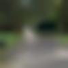 Halvad Male Photo - Syam