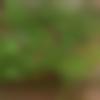 woman seeking men Paithan near me photo - Remya