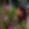 Single Female - Harmanpreet