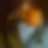 woman seeking men Bhatkal near me photo - Ans222