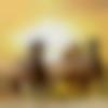 Single Male - Aarti123