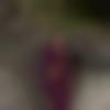 Single Female - Shivani