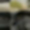 Male Photo - Gavit