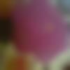 woman seeking men Lalru near me photo - Ars