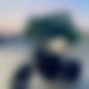Single Male - Gm