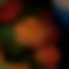 Gujarati Ladies, Woman Seeking Men Photo - Shona