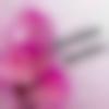woman seeking men Ashoknagar near me photo - Jyostna
