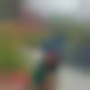 woman seeking men Adampur near me photo - Nidhi