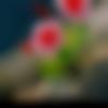 woman seeking men Rairangpur near me photo - Mamata
