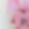 woman seeking men Rahuri near me photo - Pritee