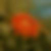 woman seeking men Pusad near me photo - Archangel