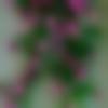 woman seeking men Gadwal near me photo - Rustum