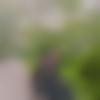 woman seeking men Dhupguri near me photo - Mou