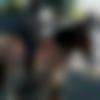 Single Male - Lakhan