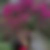 woman seeking men Mandya near me photo - Thrisha